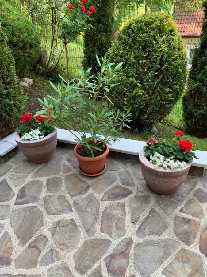 Pensiunea Eva Bed & Breakfast Sovata Exterior photo