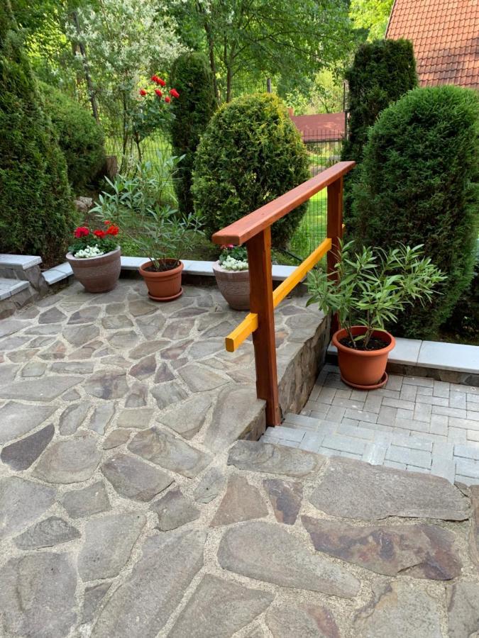Pensiunea Eva Bed & Breakfast Sovata Exterior photo