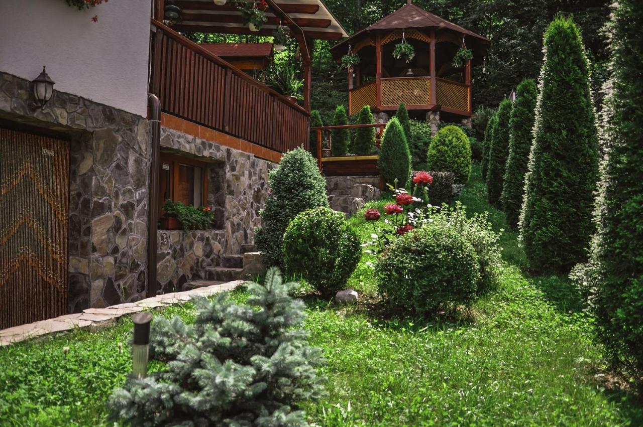 Pensiunea Eva Bed & Breakfast Sovata Exterior photo